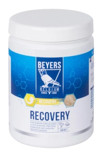 RECOVERY 600 g