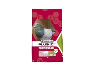 SUPERSTAR Plus I.C. 20 kg Varsele-Laga