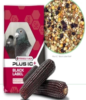 SUPERSTAR PlusI.C. Black Label 20 kg
